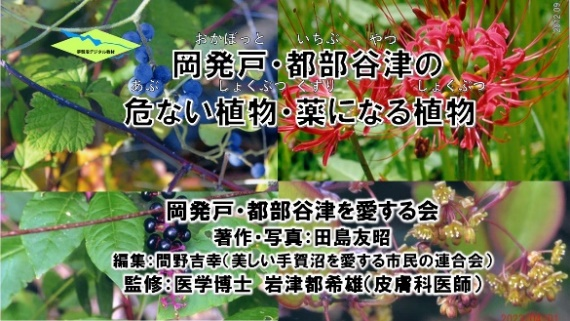 危ない植物